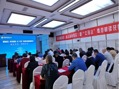 洞悉变革·赋能未来——新《公司法》